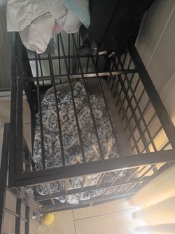 Dog Kennel