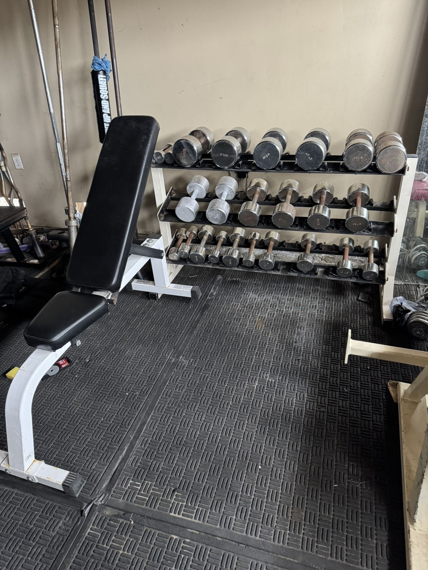 Ivanko Dumbbells weights 5-50 plus rack 590lbs total plus adjustable bench
