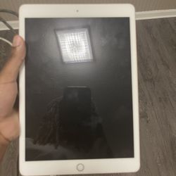 Ipad And Watch 