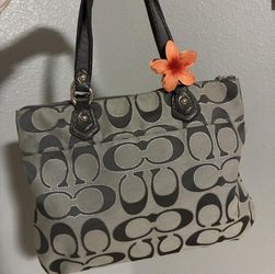 Coach Y2K Silver Poppy W/ Hot Pink Interior