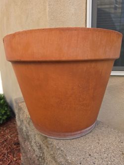 Terra Cotta planter pot