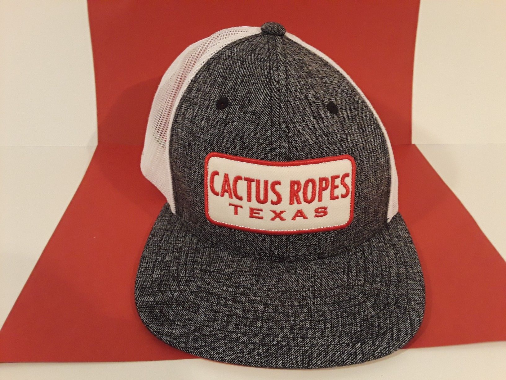 Hooey Hat Cactus Ropes Texas Gray and White Snapback Baseball Cap