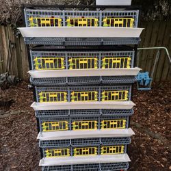 Hatching Time 5 Tier Quail Cage 