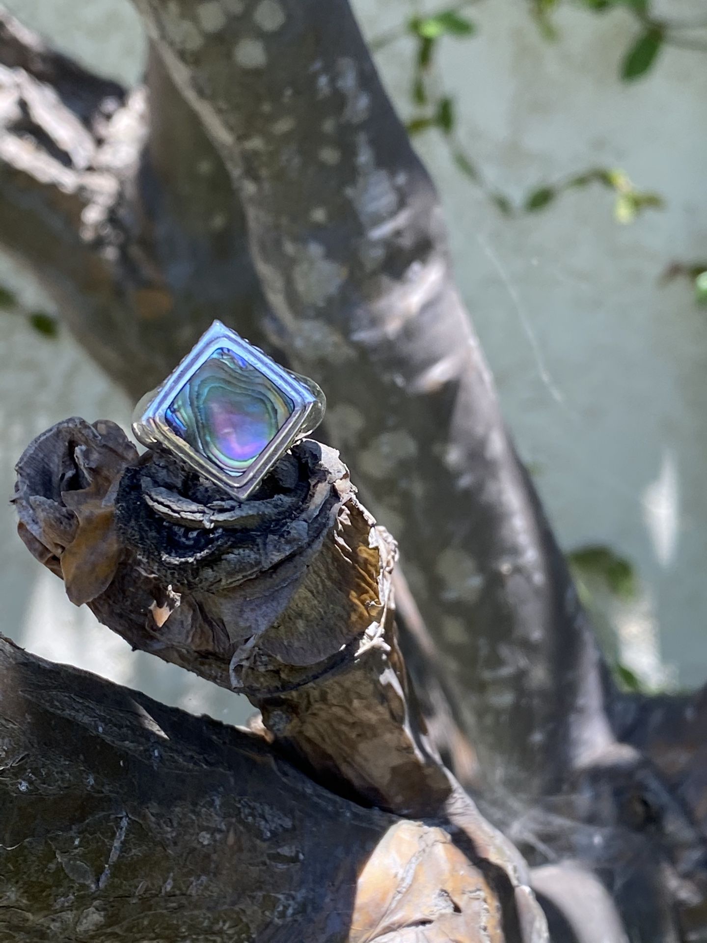 Vintage Abalone thick ring