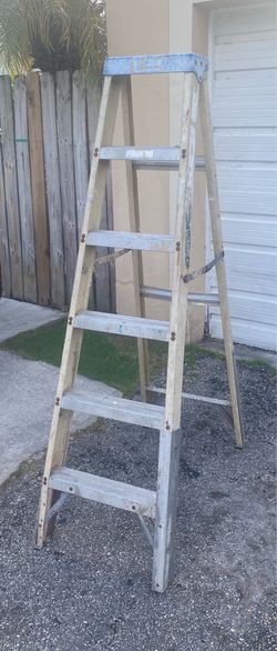 6 Foot Ladder