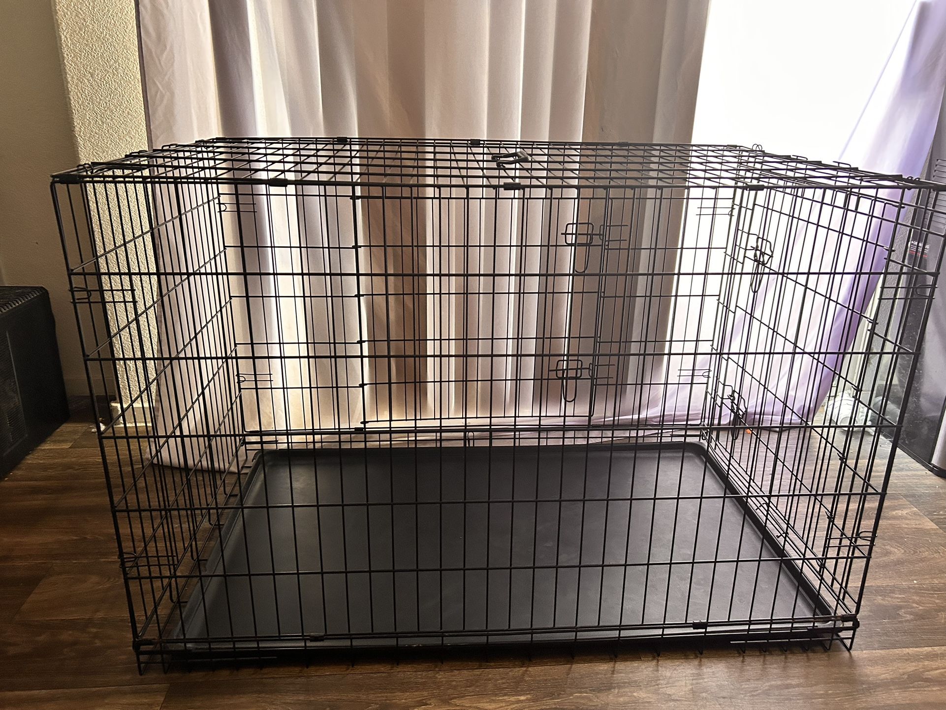 Kennel