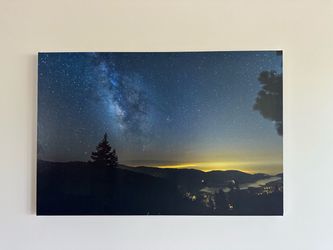Milky Way Night Sky Canvas Print and Tulips