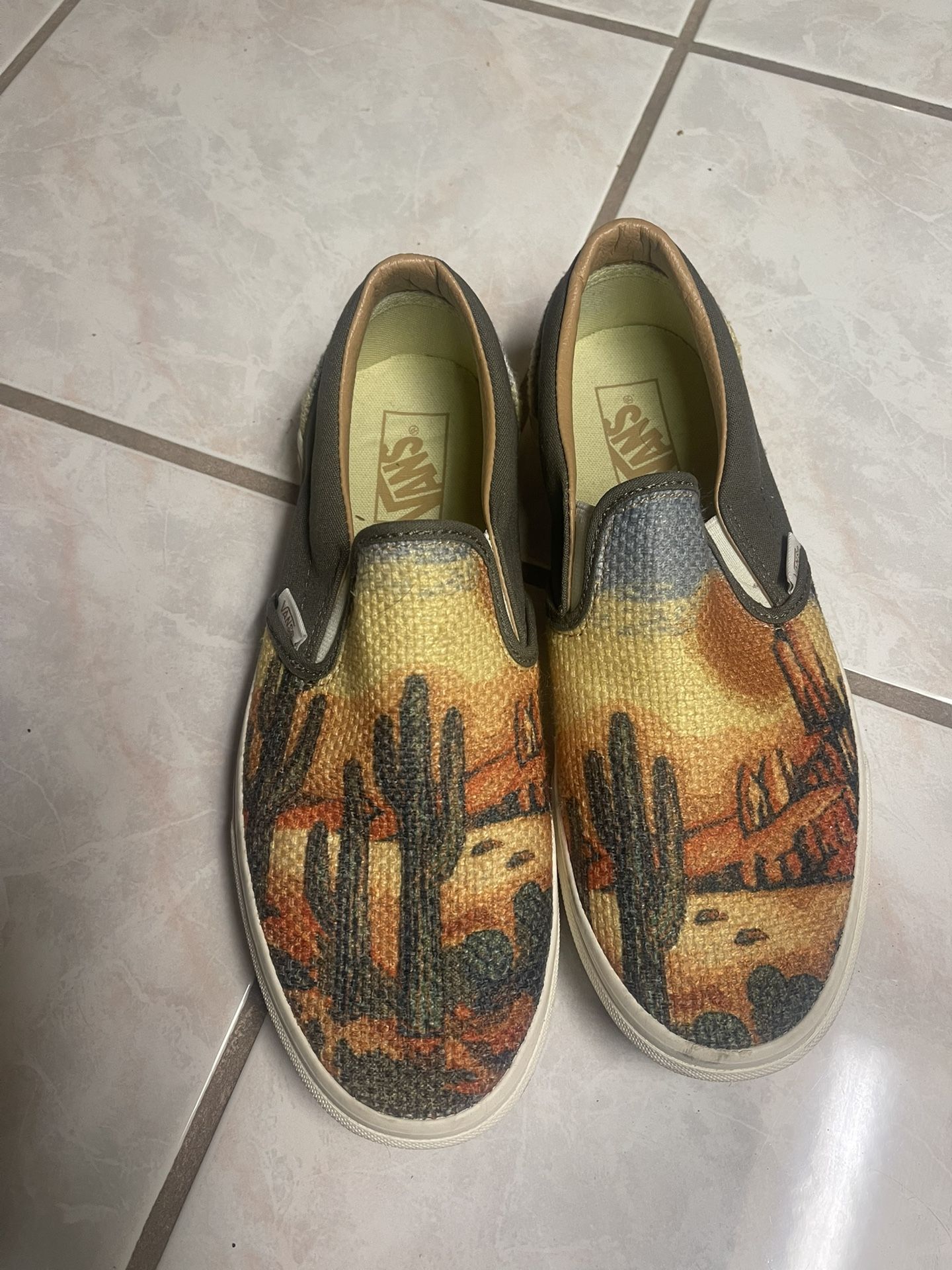 Vans 8.5 Men’s Desert Cactus Design