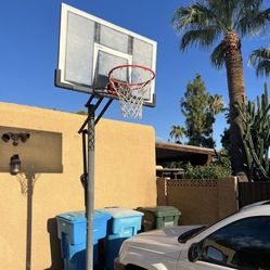 Lifetime 90061 Portable Basketball System 52 inch Shatterproof Backboard