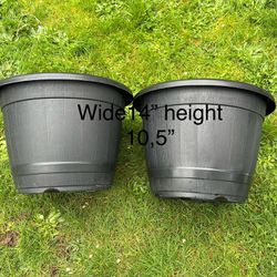 Big flowers pots $20 for both 