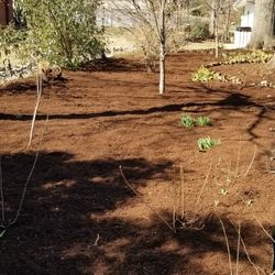 Premium Dark Mulch!