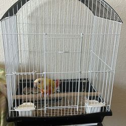 Bird Cage