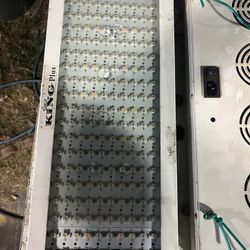 LED light/Growing lights 