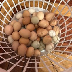 Organic Eggs 4$ A Dozen 