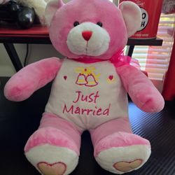 Sugar Loaf pink and white teddy bear  14" long with the phrase Just Married. 
