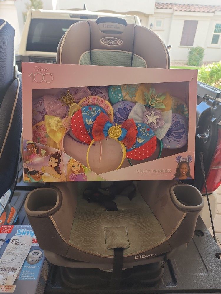 Disney Princess Ears