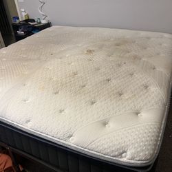 King Sized Doggy Bed 