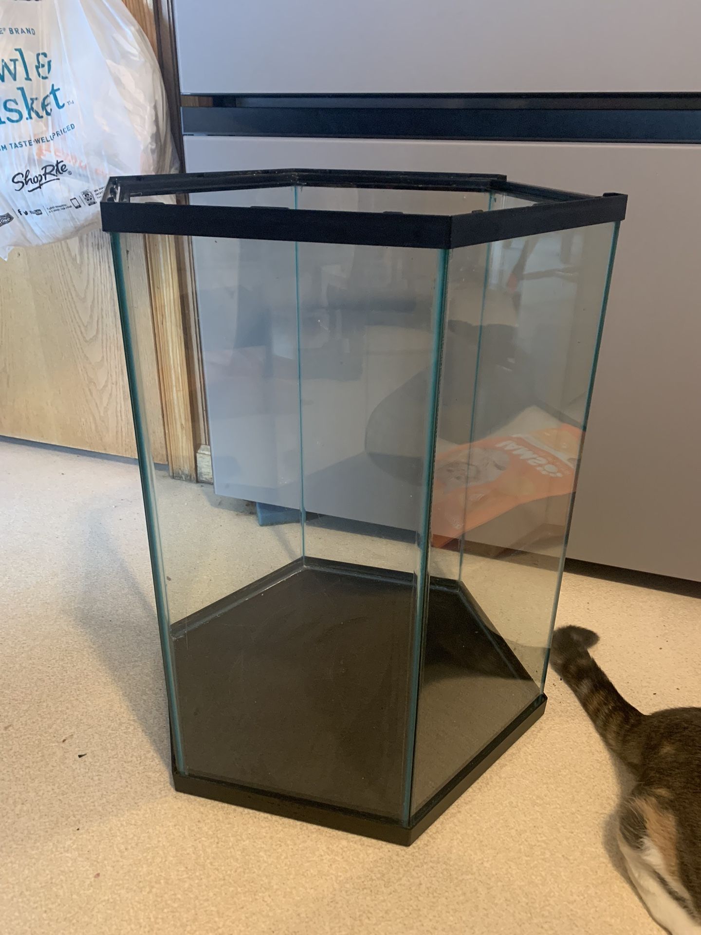 15g Hex Aquarium
