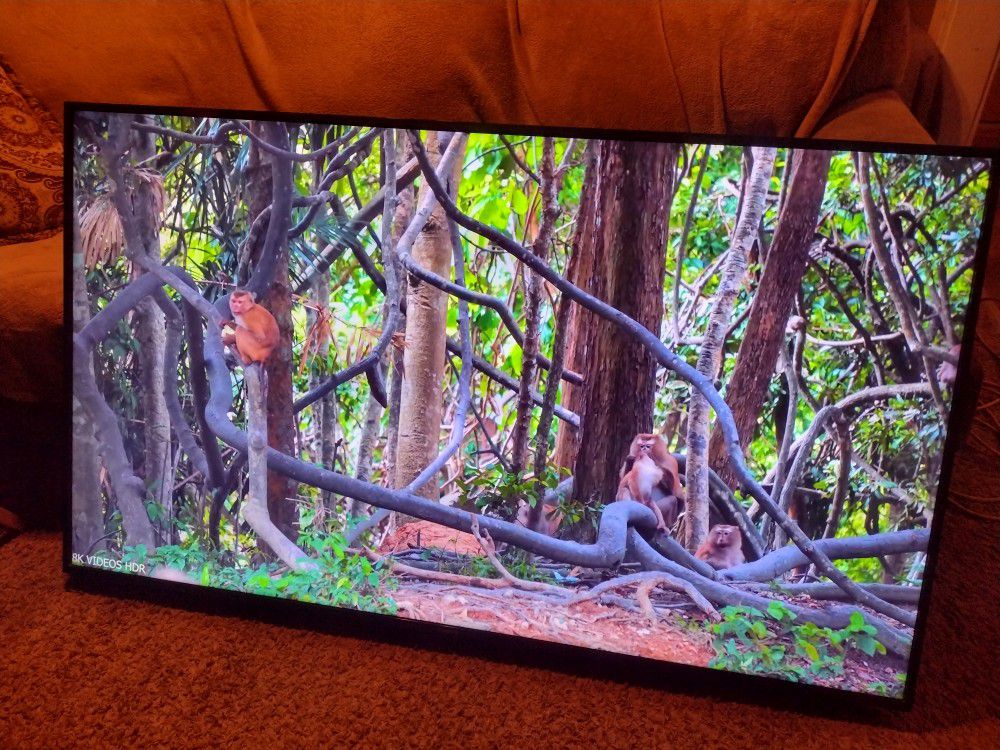 65" Hisense 4k LED TV ( NO Stand Or Wall Mount Included)