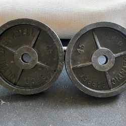 45 Pound Iron Weights
