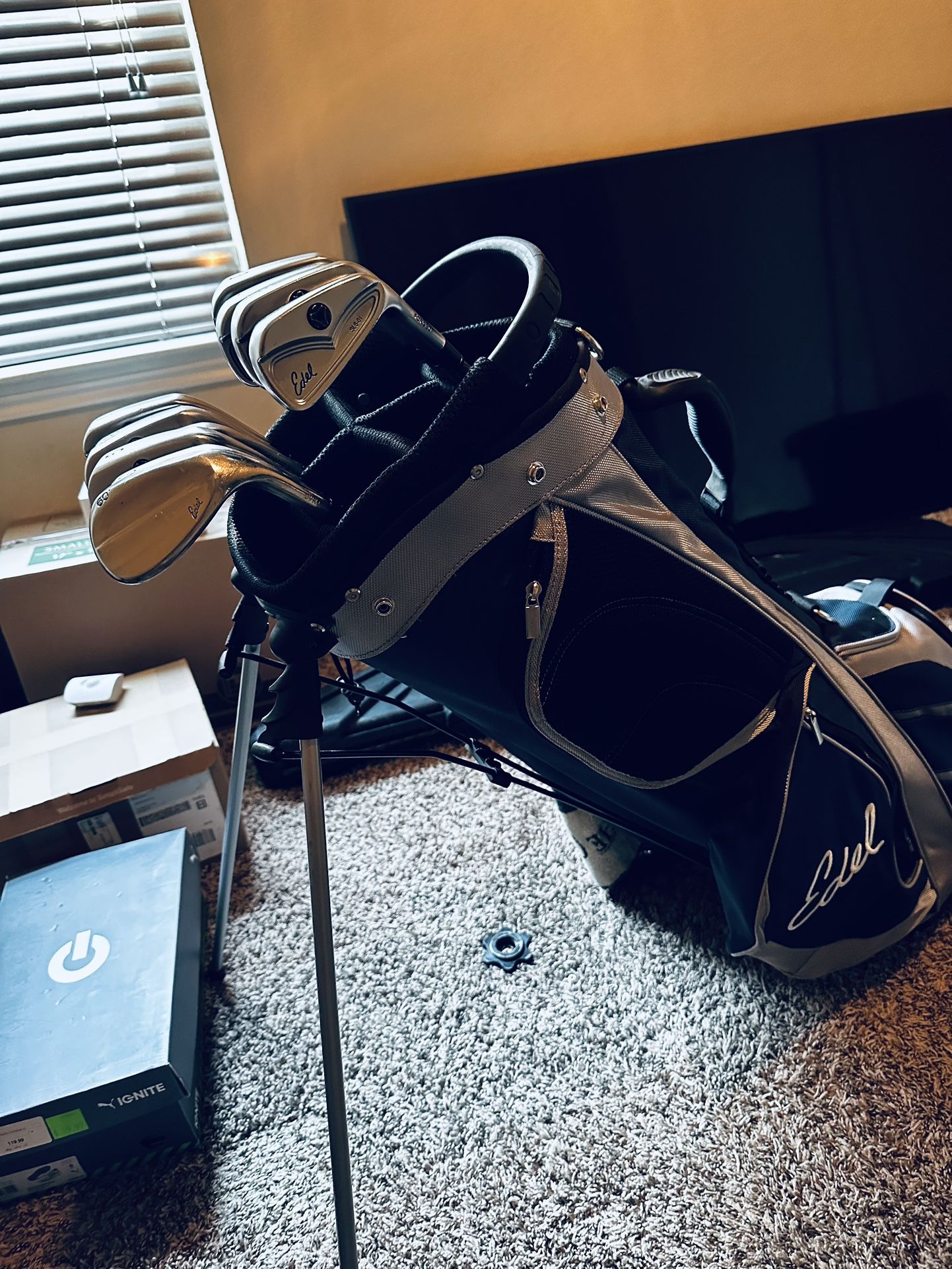 Edel SLS-01 Complete One Length Irons w/Bag