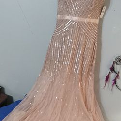 Adrianna Papell Evening Gown