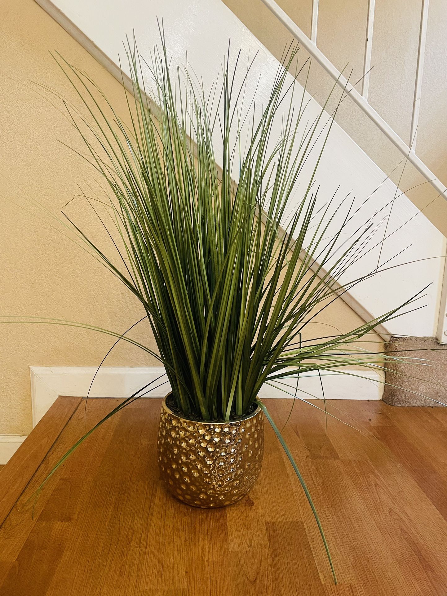 Fake Plant $20 