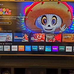 VIZIO 65 inch LED TV