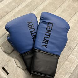 Boxing gloves
