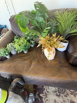 Faux Plant Collection – 7 Pieces $5.00