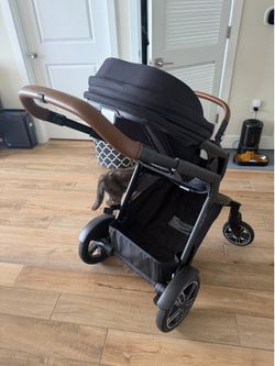 Nuna stroller