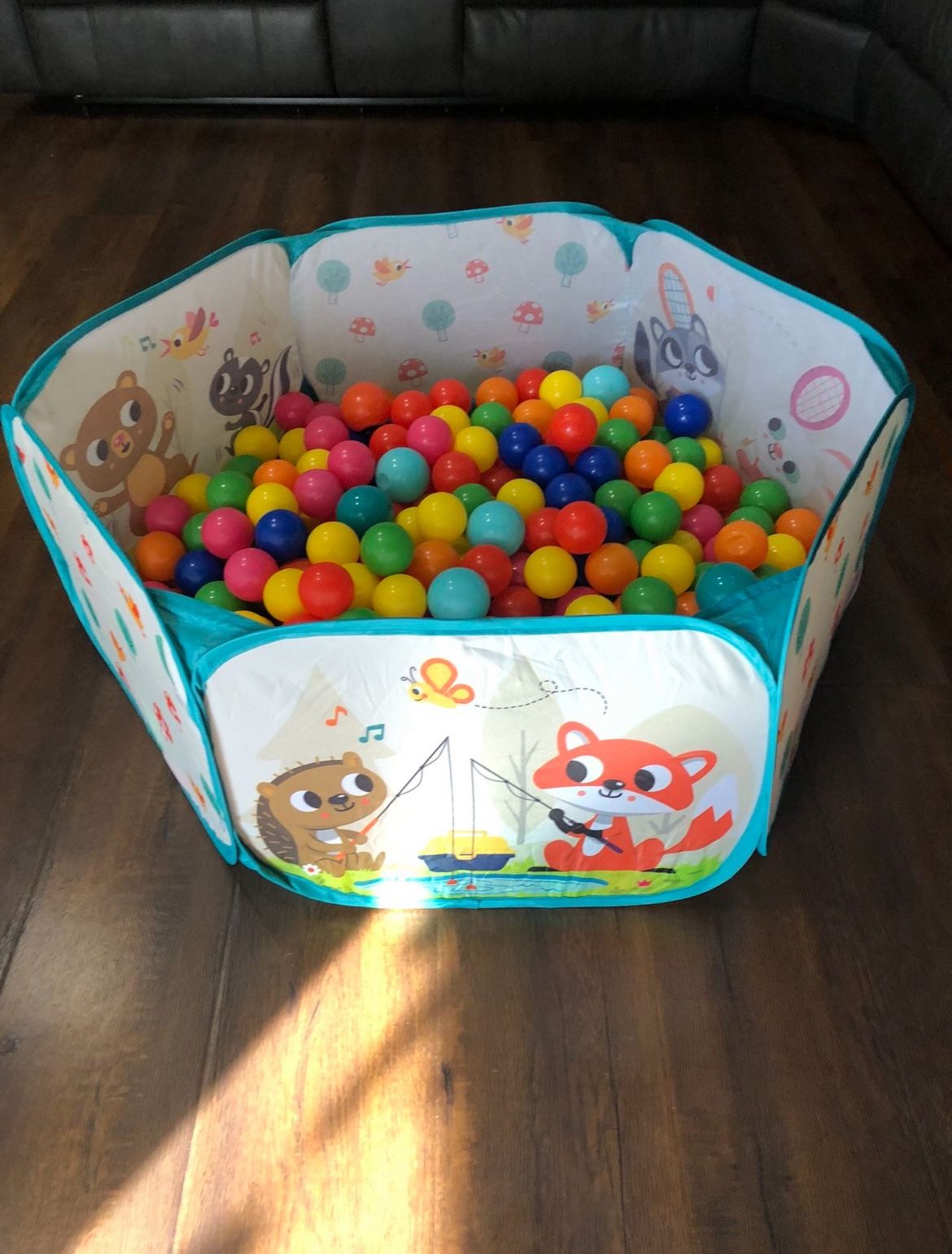 Ball Pit 