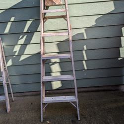 Aluminum Ladder