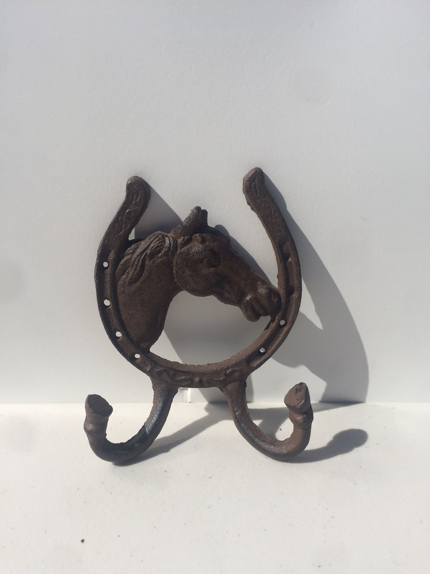 Metal Horse shoe Wall Hanger