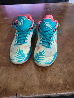 Nike LeBron