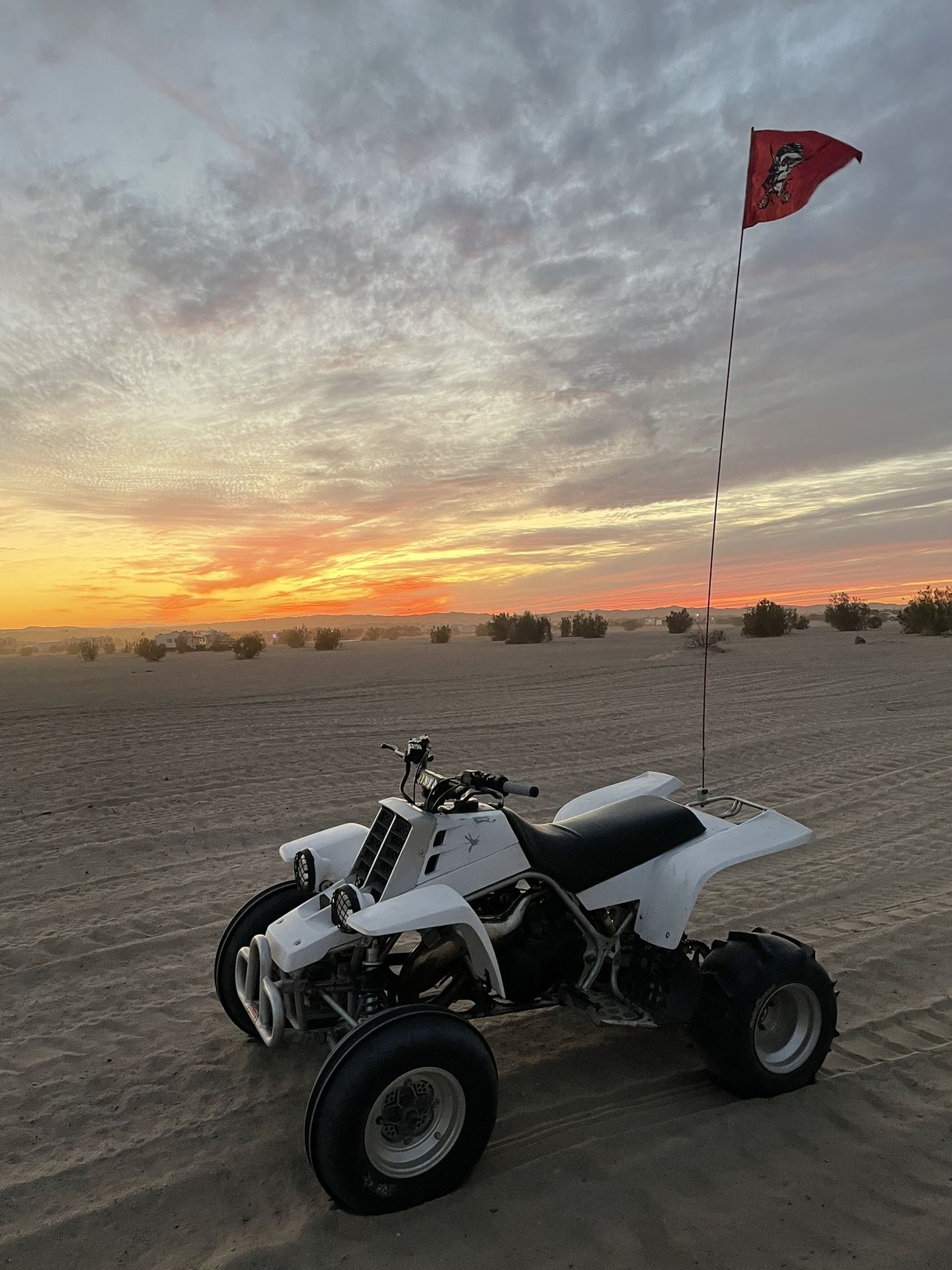 Banshee For Sale Los Angeles 93 - 4h9jypu
