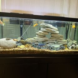 75 Gal. Fresh Water Aquarium.