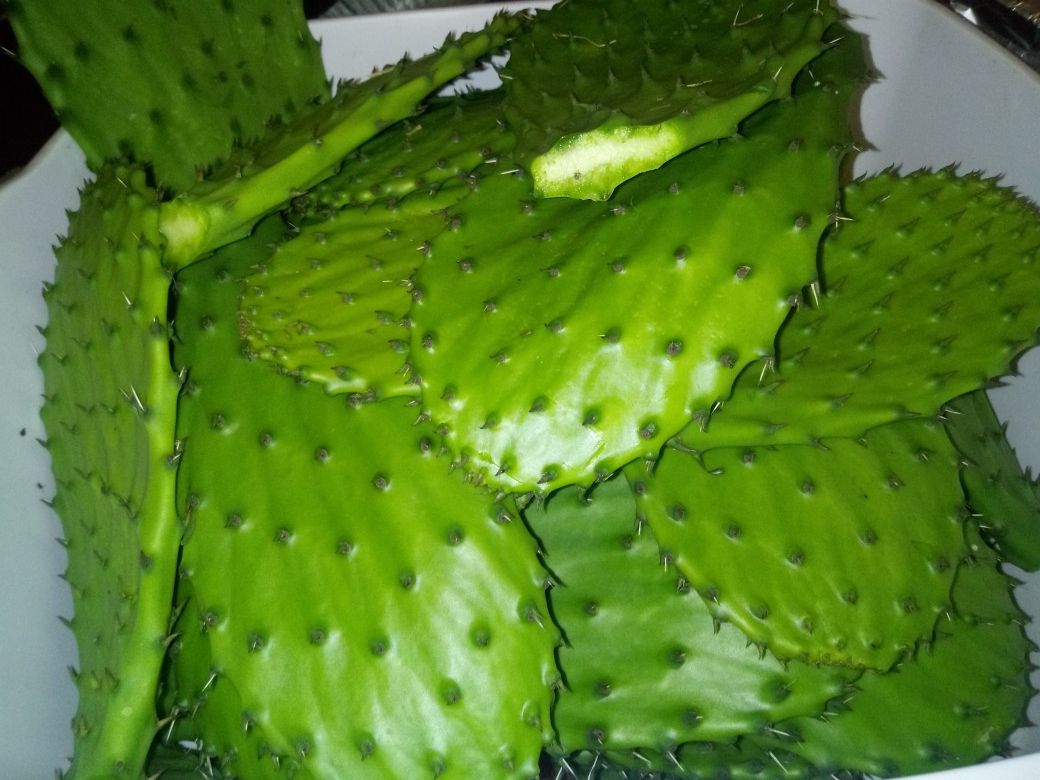 Nopales y tunas