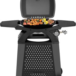 Master Cook Portable Grill