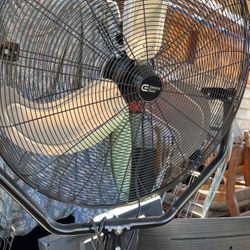 Fan