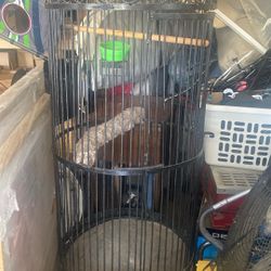 Bird Cage