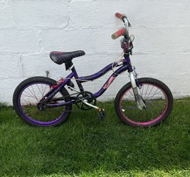 Child’s Monster High Bike 