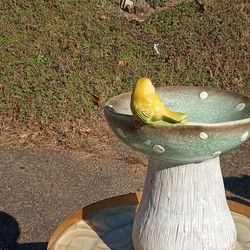 New Detailed Birdbath Or Feeder High Quality 