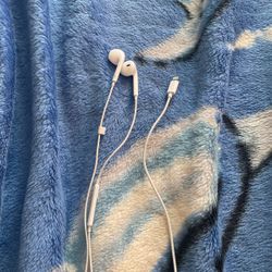 Apple wired earbuds lightning adapter