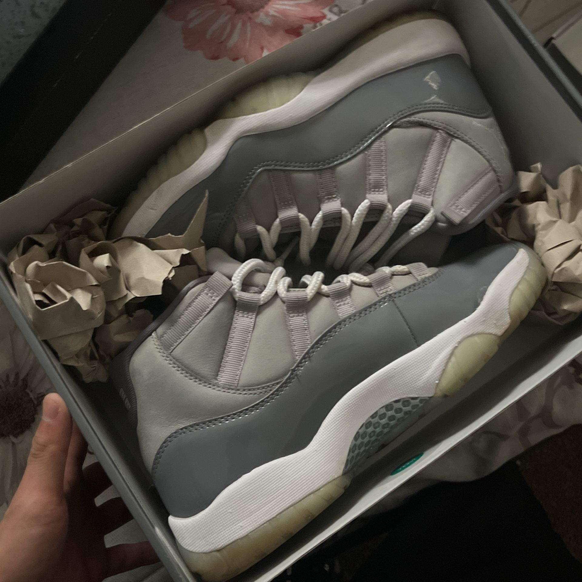 Air Jordan 11s
