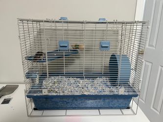 Hamster cage