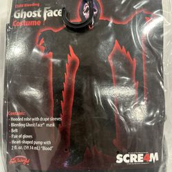 Halloween Costume