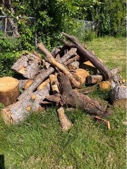 Free firewood rounds
