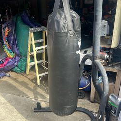 Punching Bag Boxing 