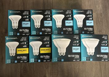 Ecosmart flood light